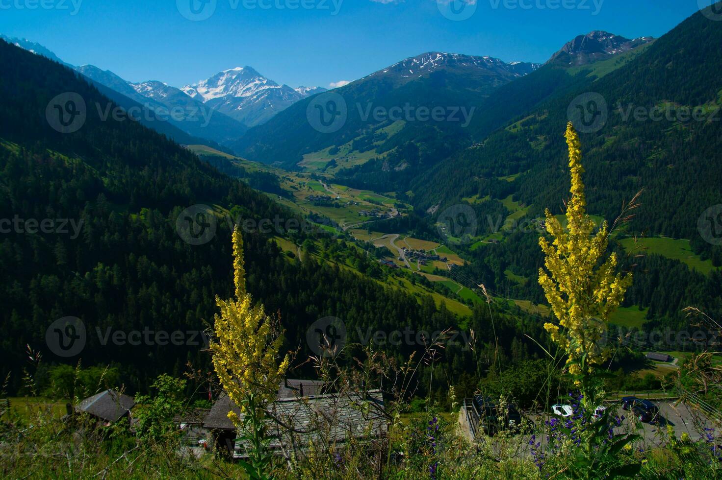 commeire in orsieres ,valais,swiss photo