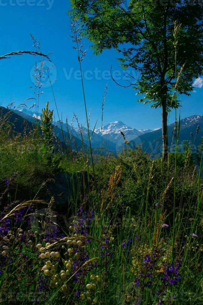 commeire in orsieres ,valais,swiss photo