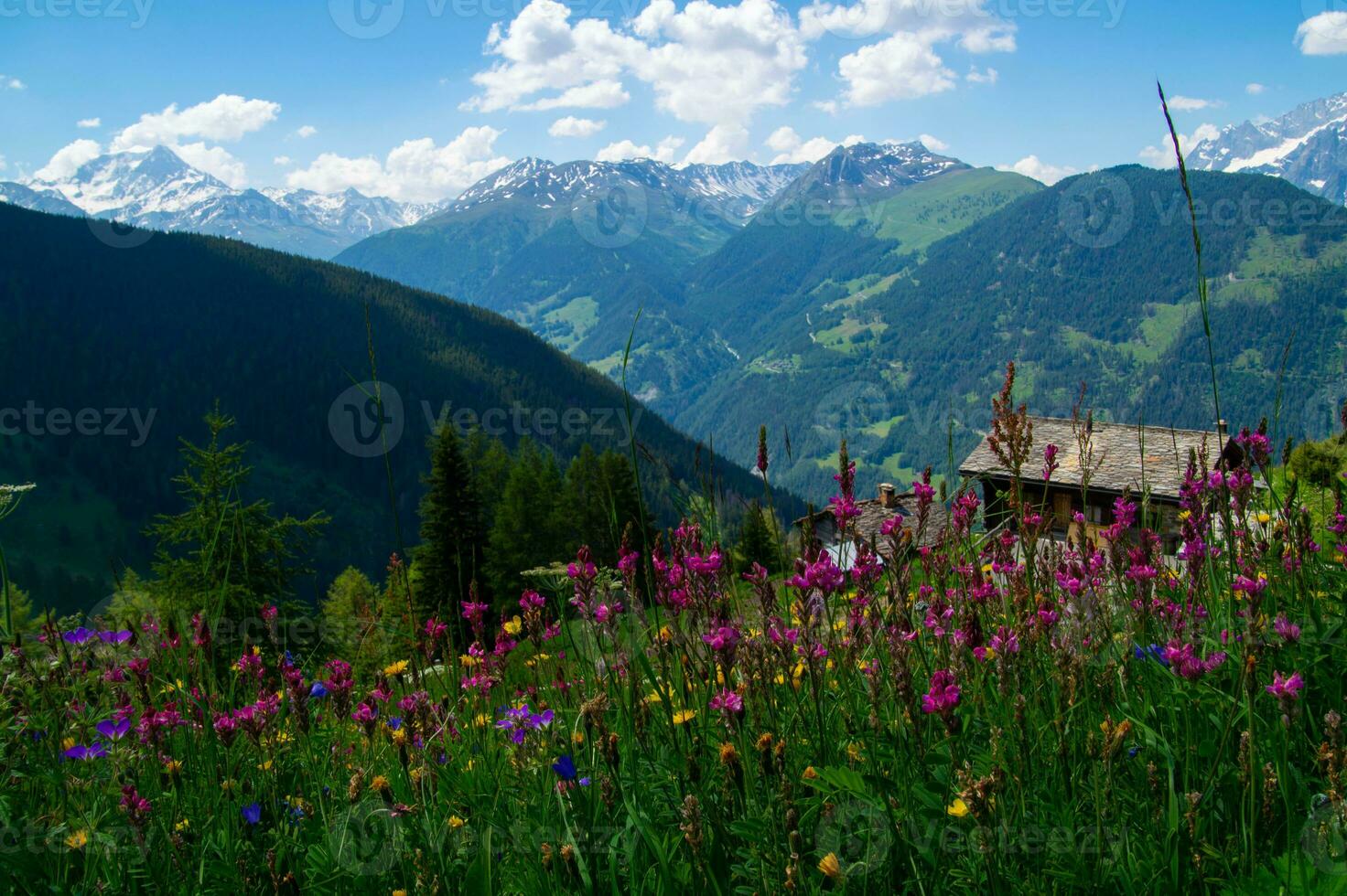 comerciar en orsieres ,valais,suiza foto