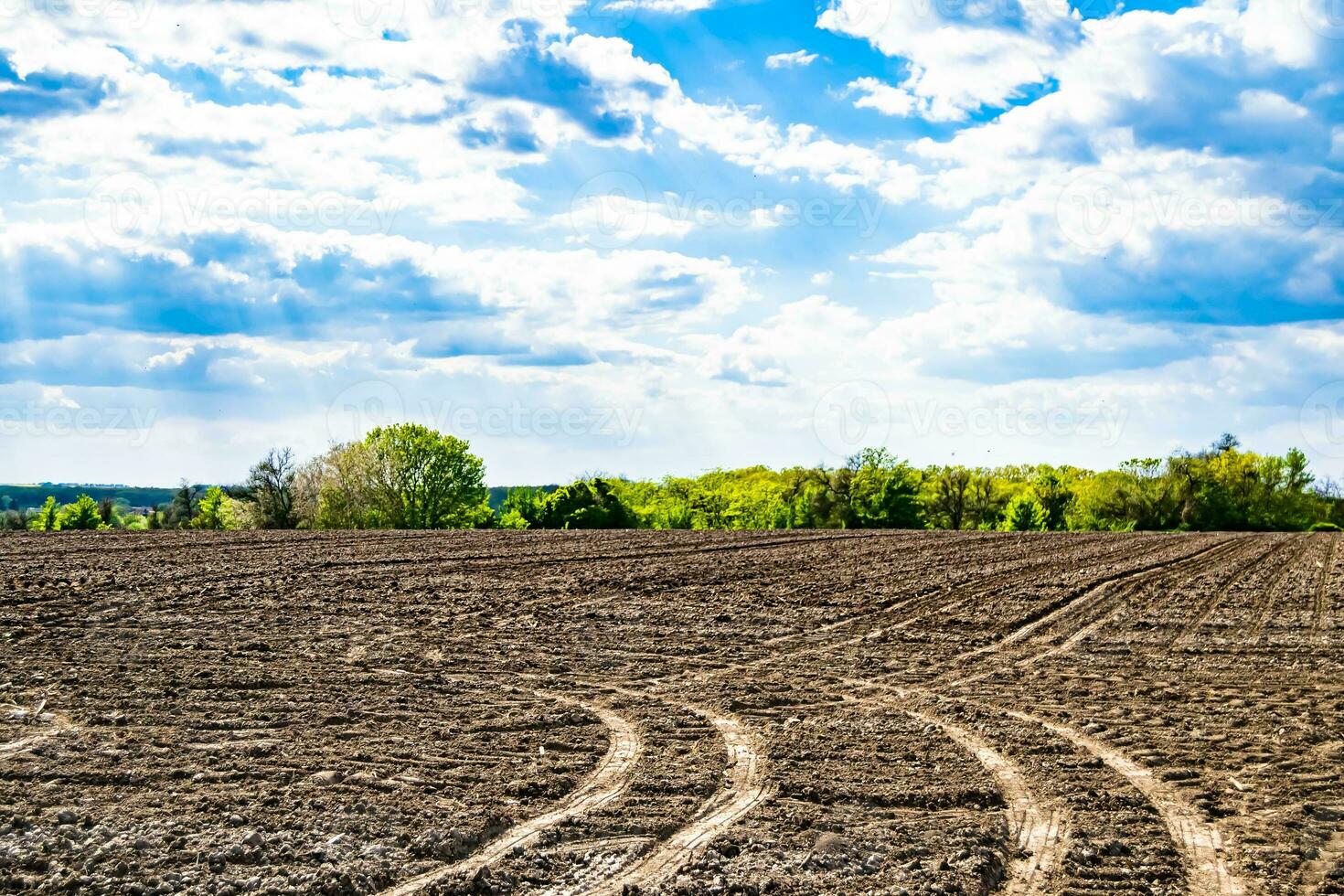 Photography on theme big empty farm field for organic harvest photo