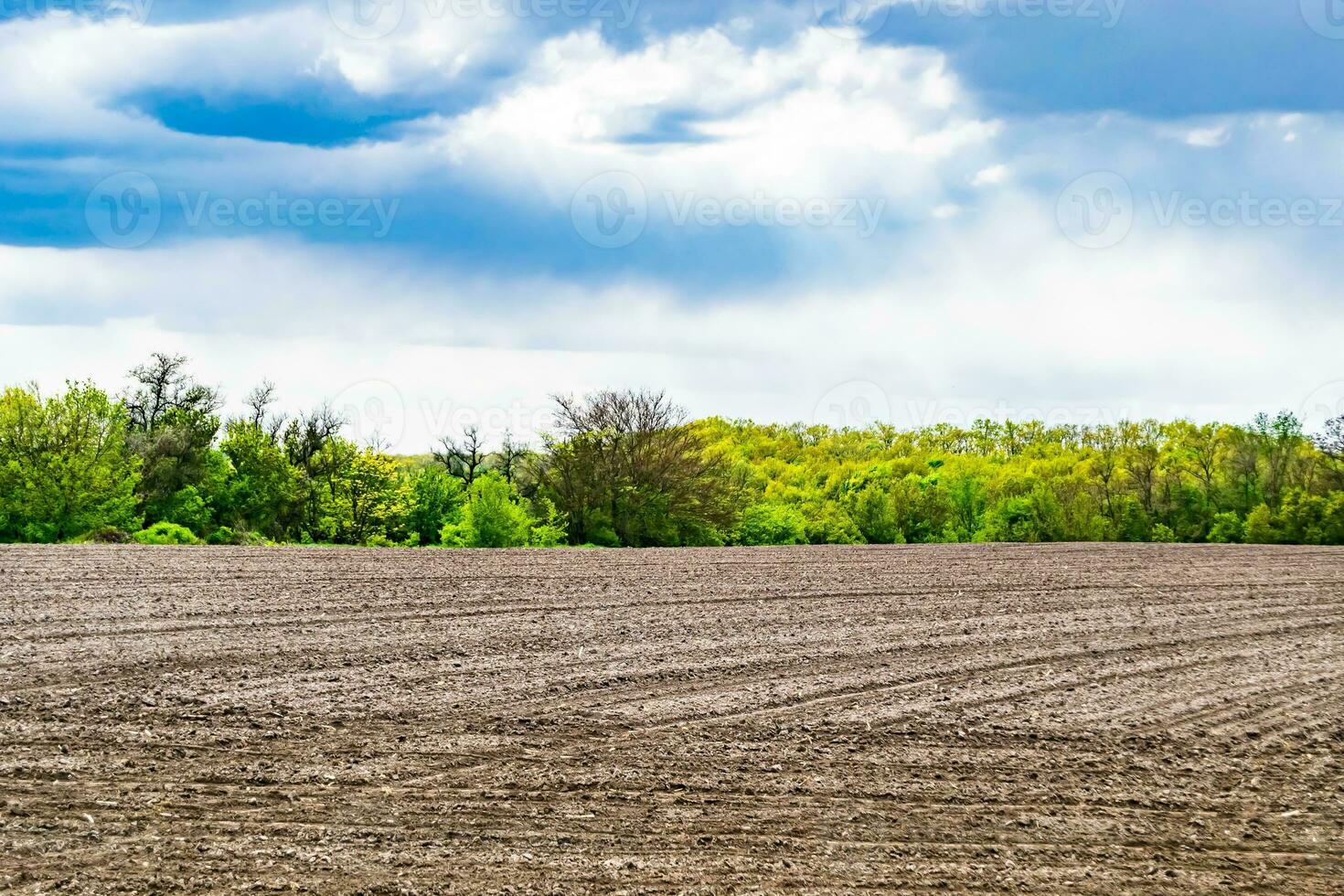 fotografía sobre el tema gran campo agrícola vacío para la cosecha orgánica foto