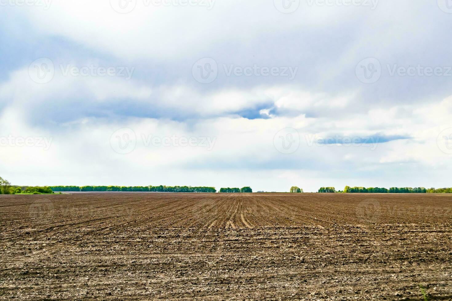 Photography on theme big empty farm field for organic harvest photo