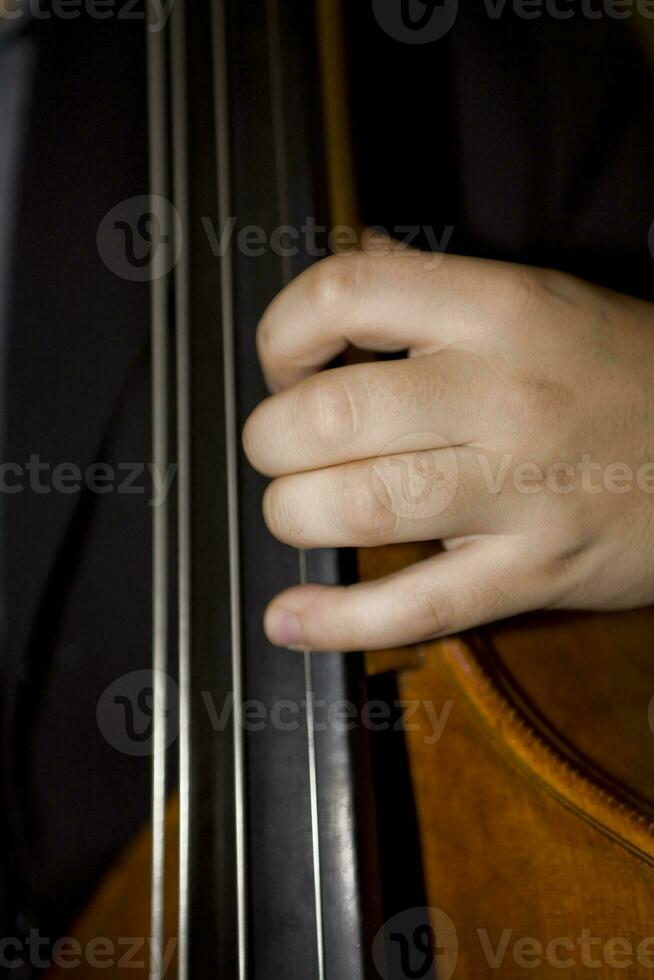 musik macro hand photo