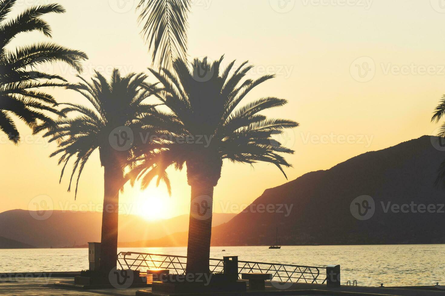 Sunset over Palm trees photo