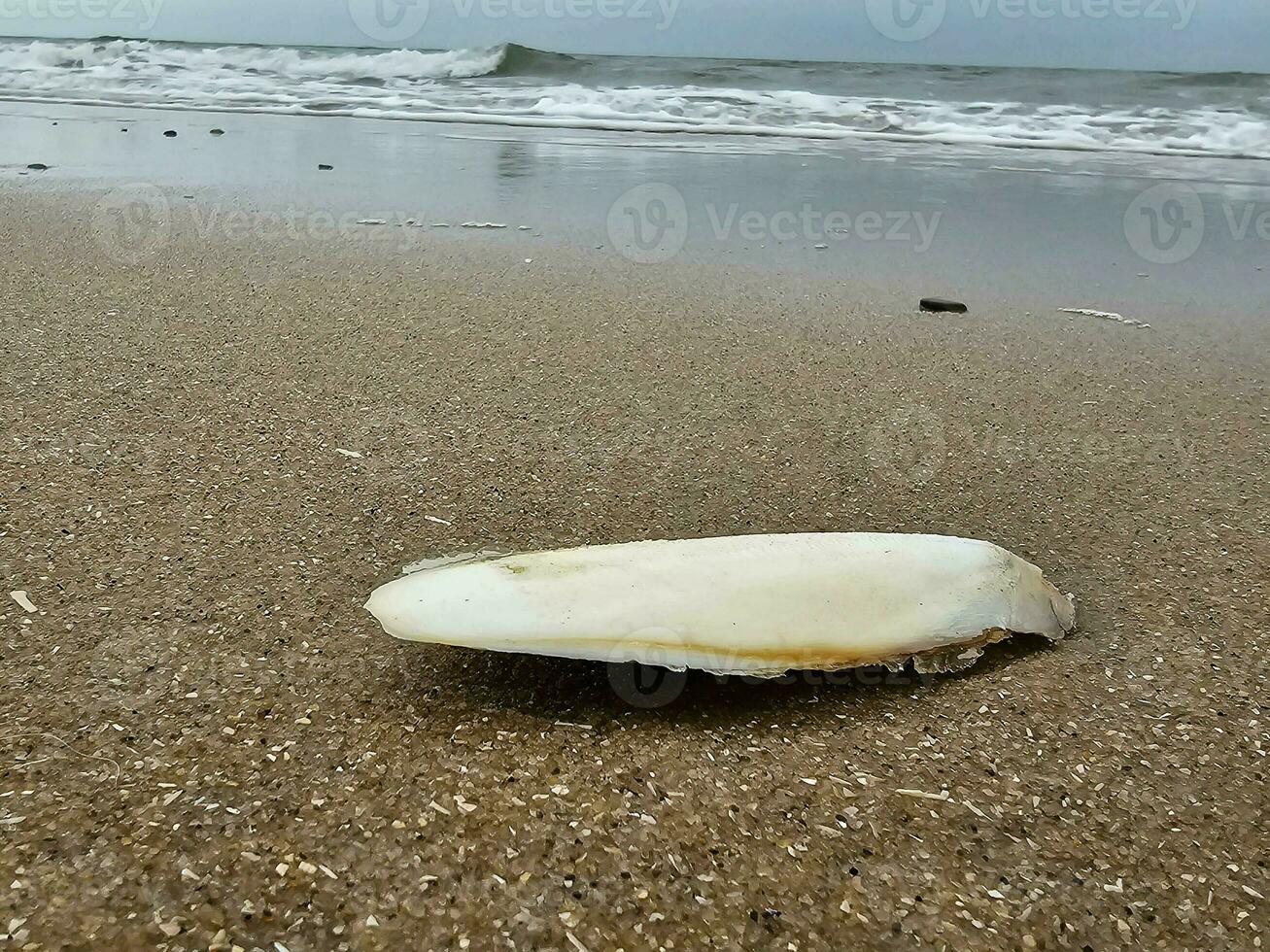 impresiones de el interminable playa a el del Norte mar en blavand Dinamarca foto