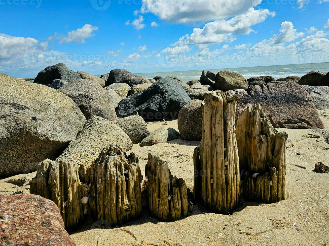 Impressions of the endless beach at the northern sea in Blavand Denmark photo