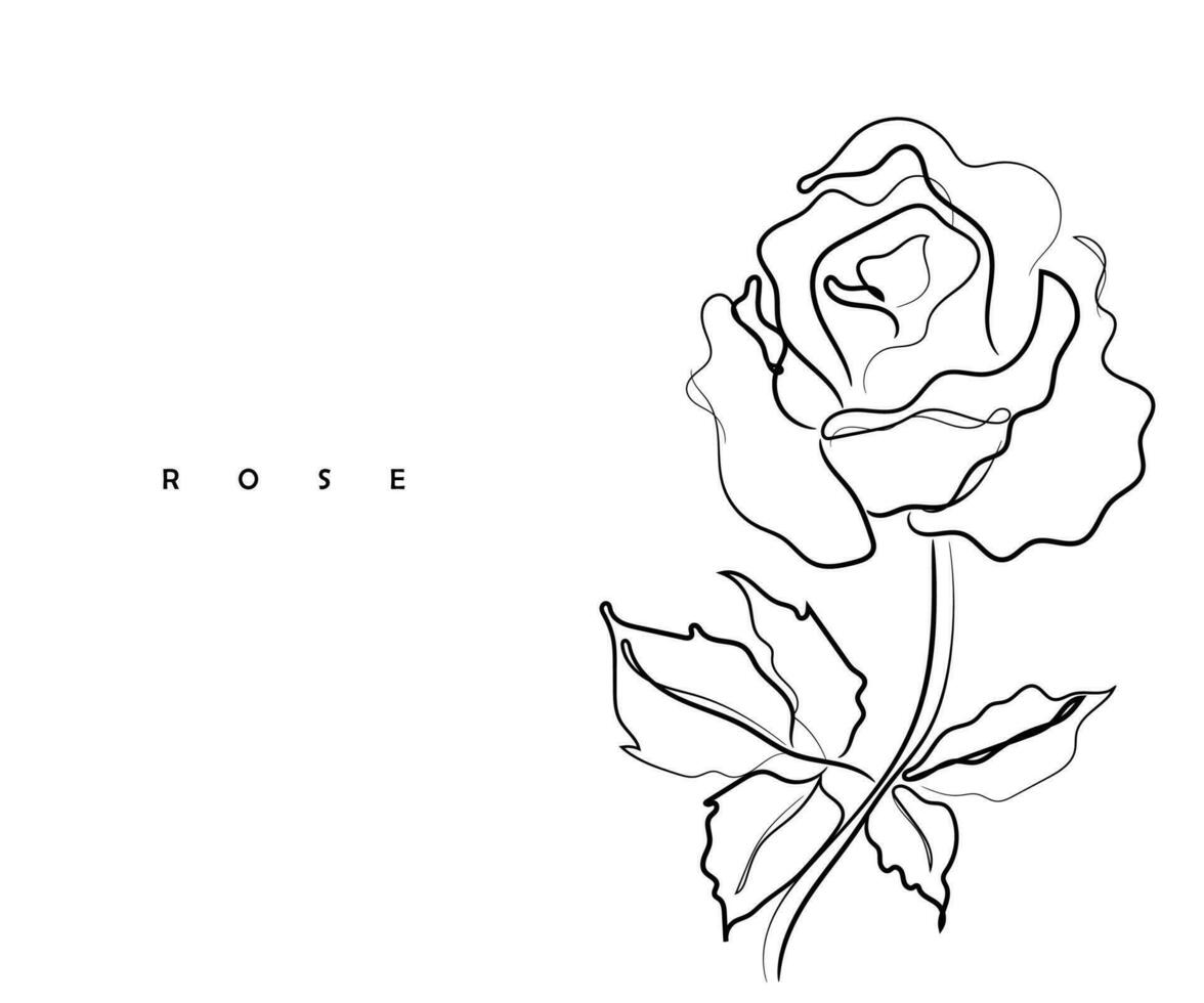 Line art vector of rose.