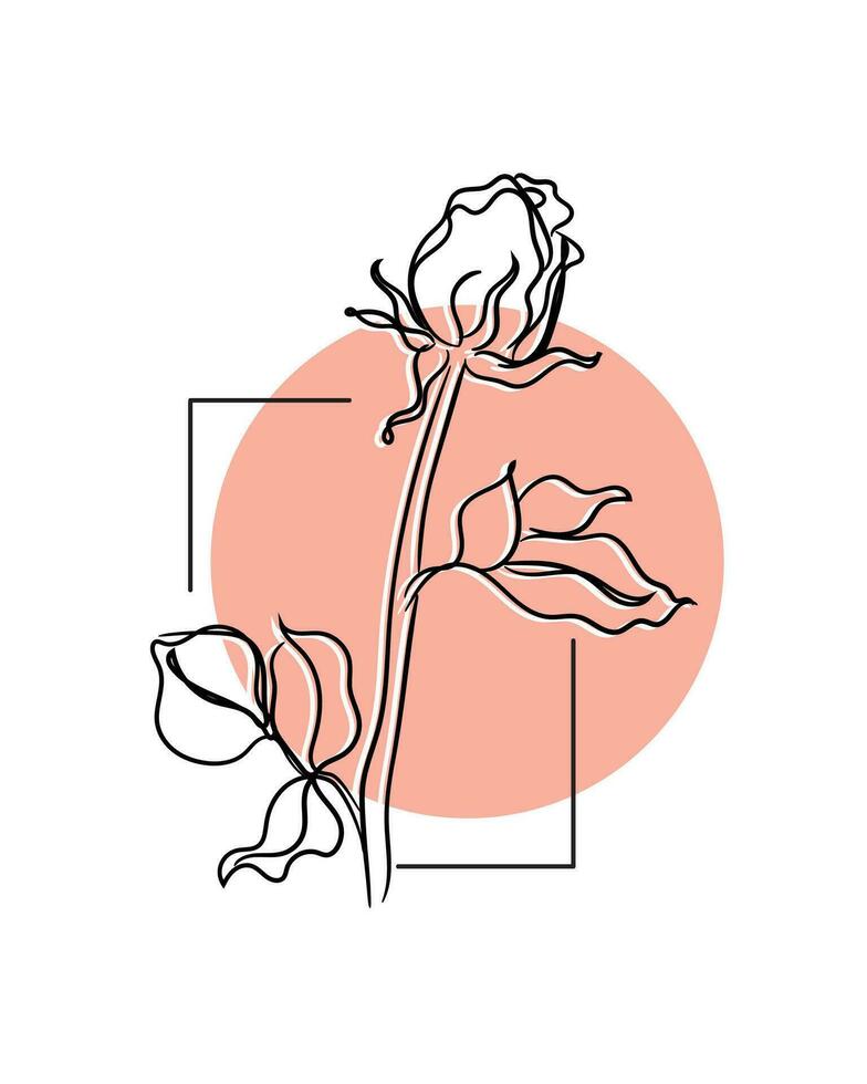 Line art vector of rose.