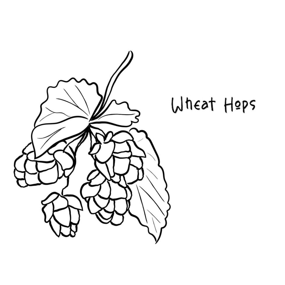 Vector of wheat Hops