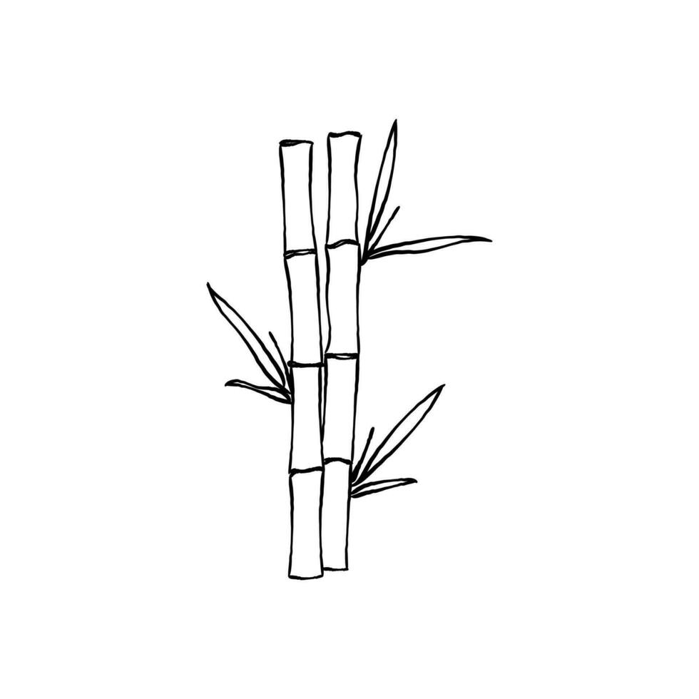 mano dibujado línea Arte vector de bambú
