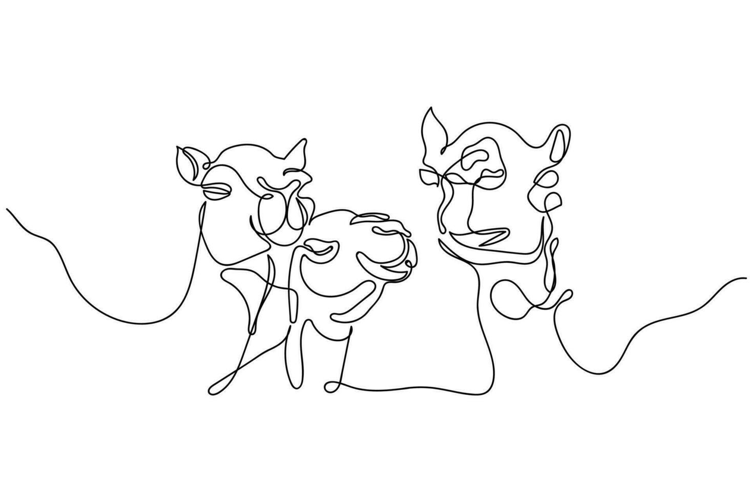 Continuous line art of closeup of camel's face. Camel line art vector