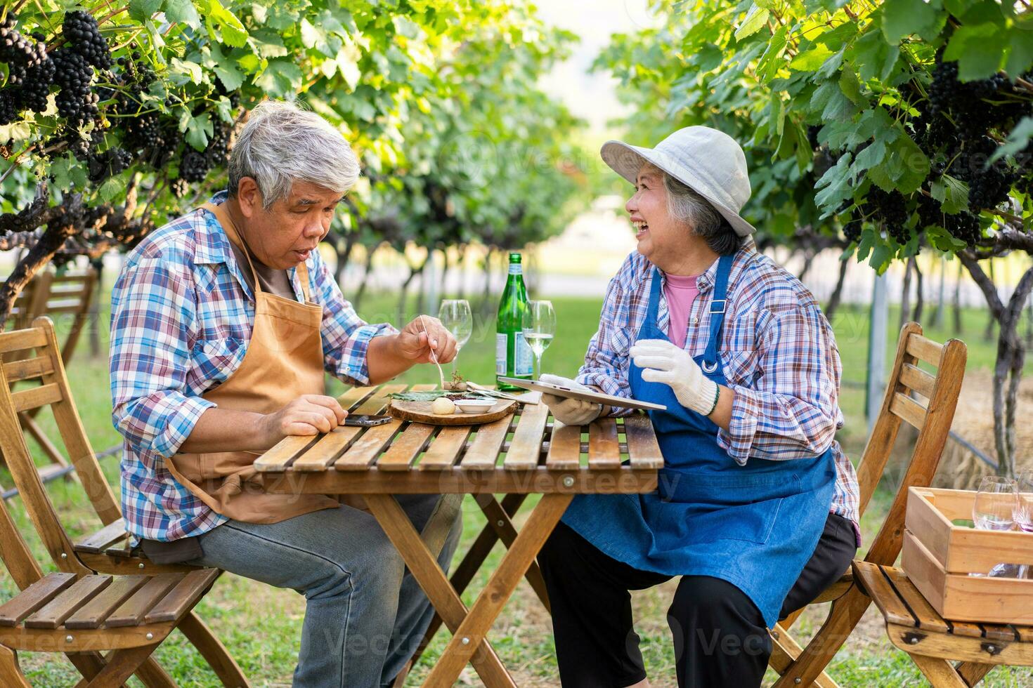 Portrait of senior winemaker holding in his hand a glass of new white wine. Smiling happy elderly couple enjoying a picnic together in own vineyard. Agricultural concept, Small business, retirement photo