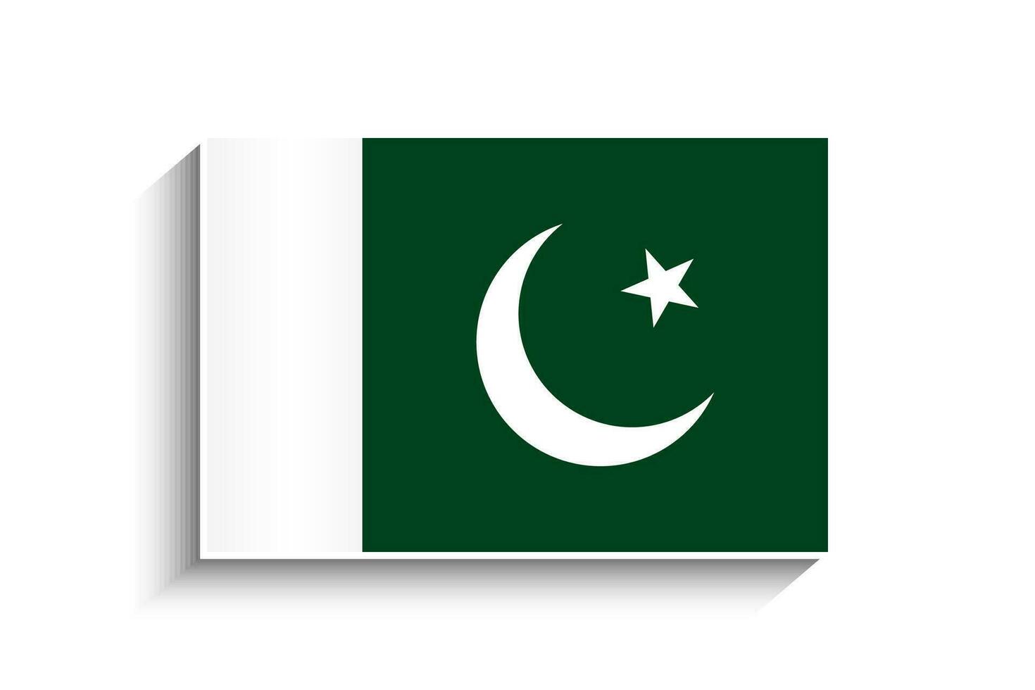 Flat Rectangle Pakistan Flag Icon vector