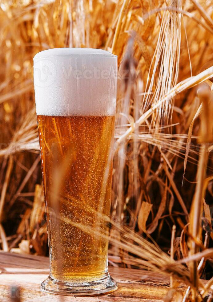 vaso de cerveza en un trigo campo foto