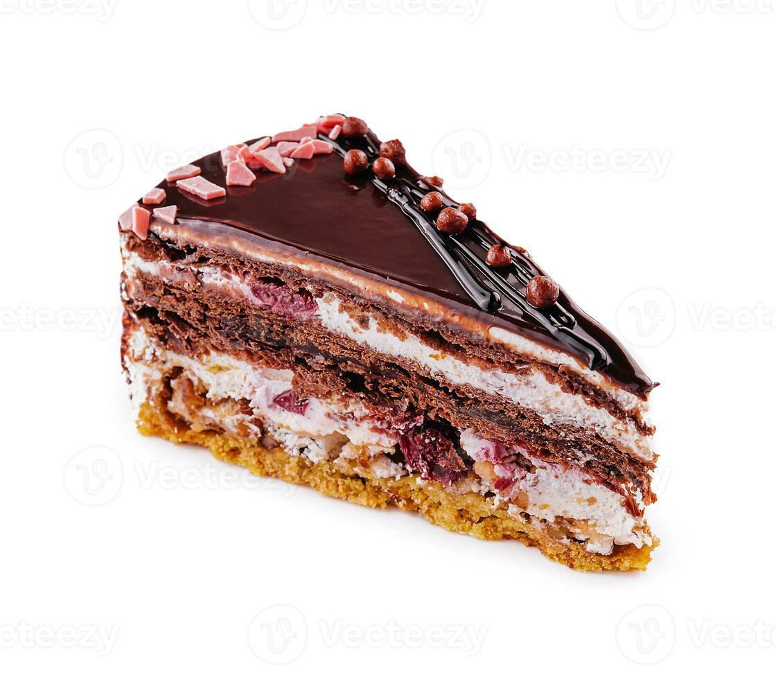 Piece of delicous chocolate cake with sour cherries photo