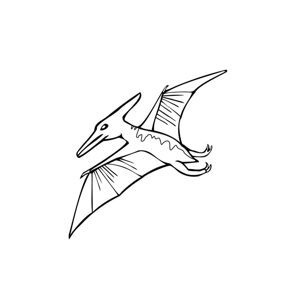 Colouring page for kids. COlor book. Children illustration. Pteranodon isolated. Dinosaur. Picture for kids. Flat vector illustration.