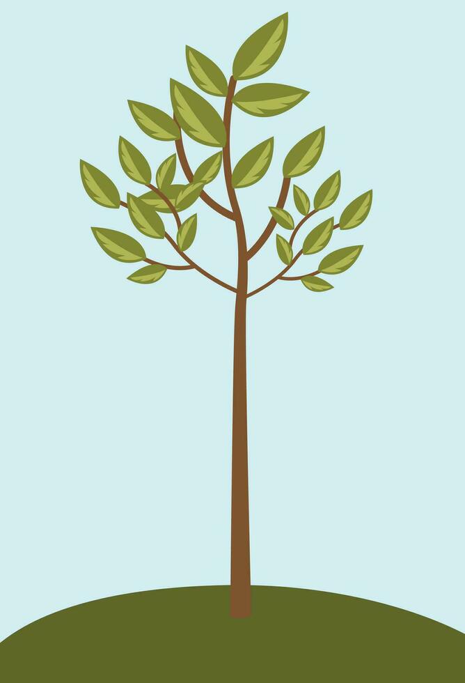 A green tree and blue sky, green and brown and blue, spring and autumn tree illustration vector, suitable for park sign and banner and summer and spring advertising, good for educational content vector