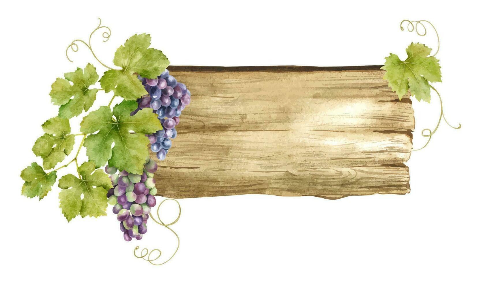 de madera letreros para uva plantaciones, viñedos. madera tablero con racimos de uvas y hojas. letrero con vid. aislado acuarela ilustraciones. para postales, marketing, invitaciones vector