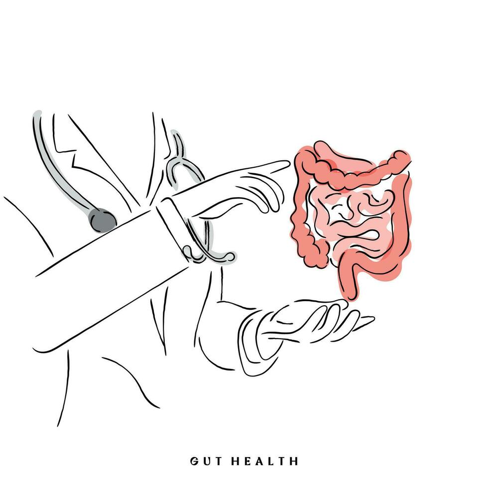 Line art vector of Human gut health.