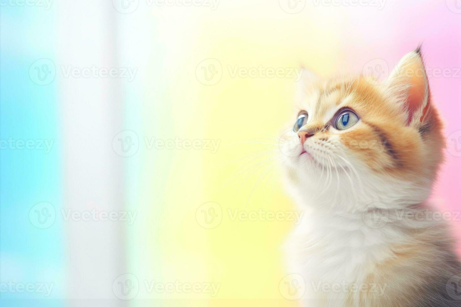 Close-up of cute cat gazing at something with beautiful bokeh background, Generative AI photo