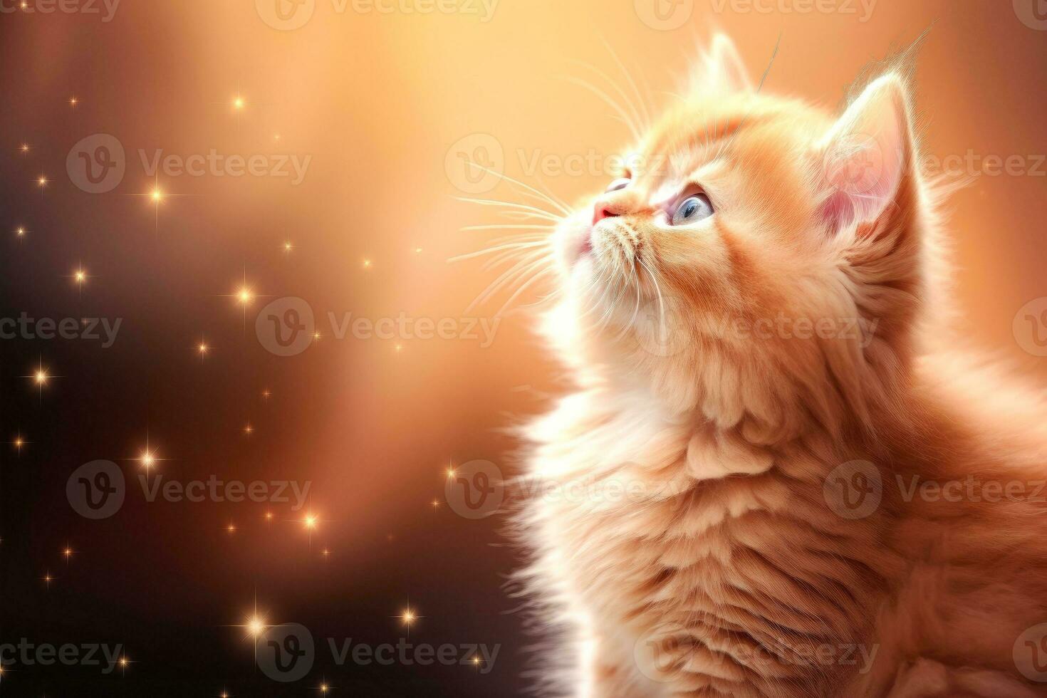 AI generated Close-up of cute cat gazing at something with beautiful bokeh background, Generative AI photo