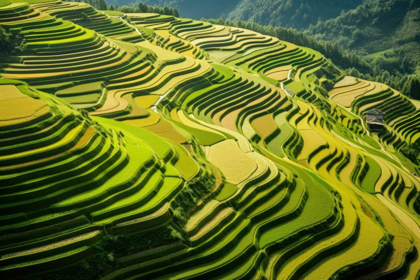 Japanese Land Stock Photos, Images and Backgrounds for Free Download