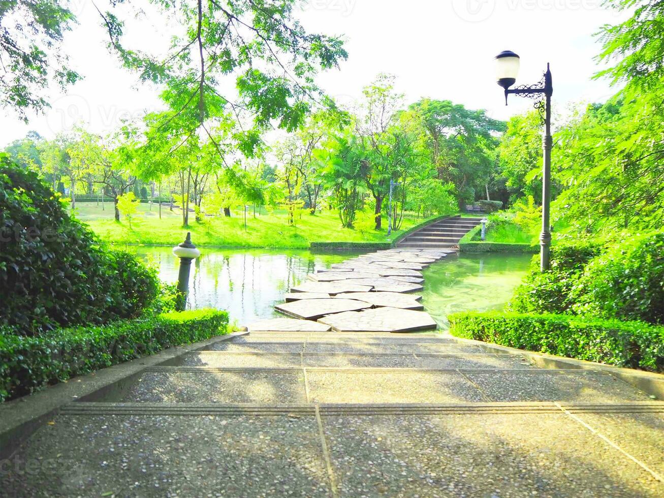Walkway in the middle of the park, Beautiful trees. photo
