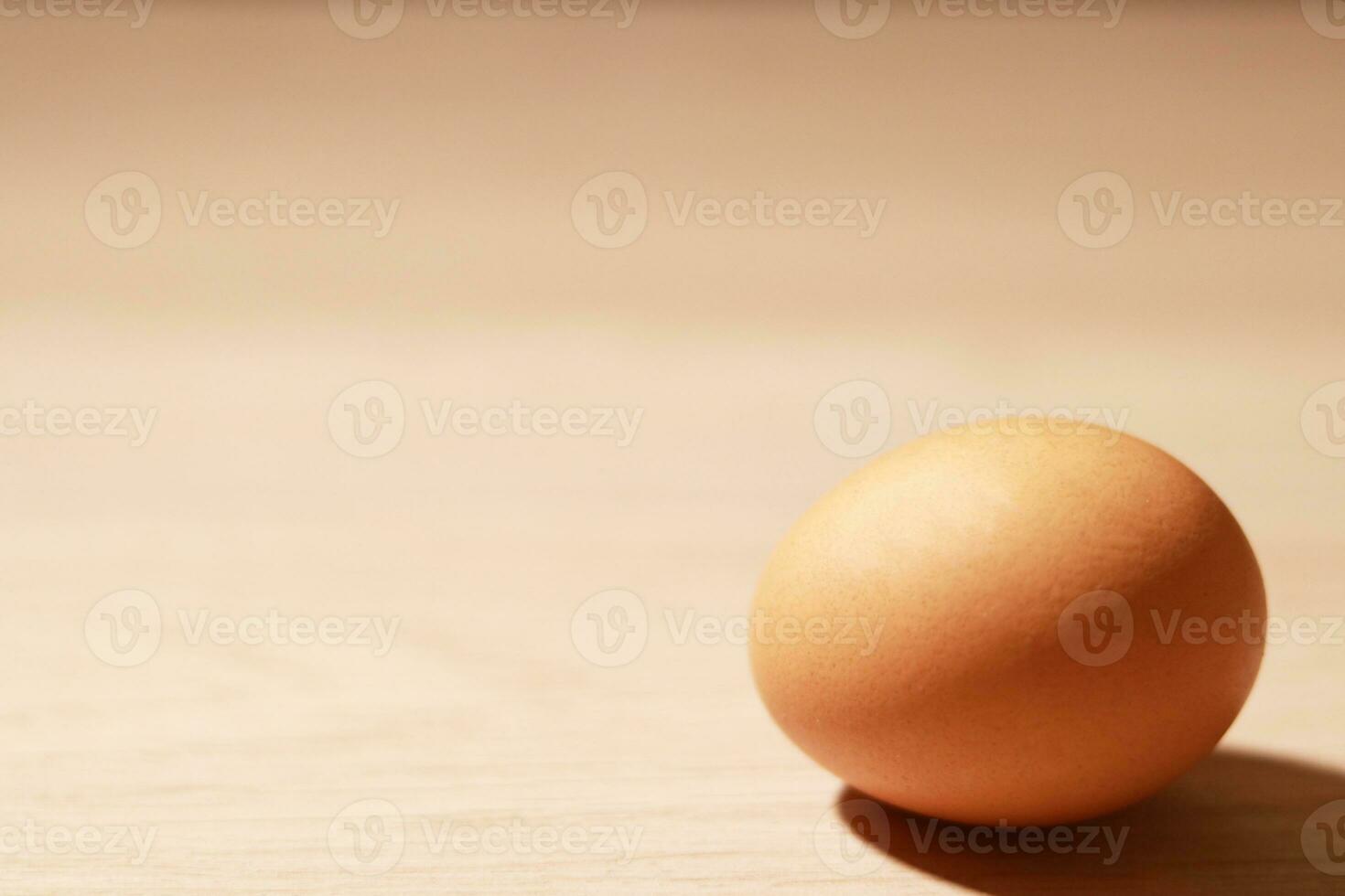 One egg on the table. photo