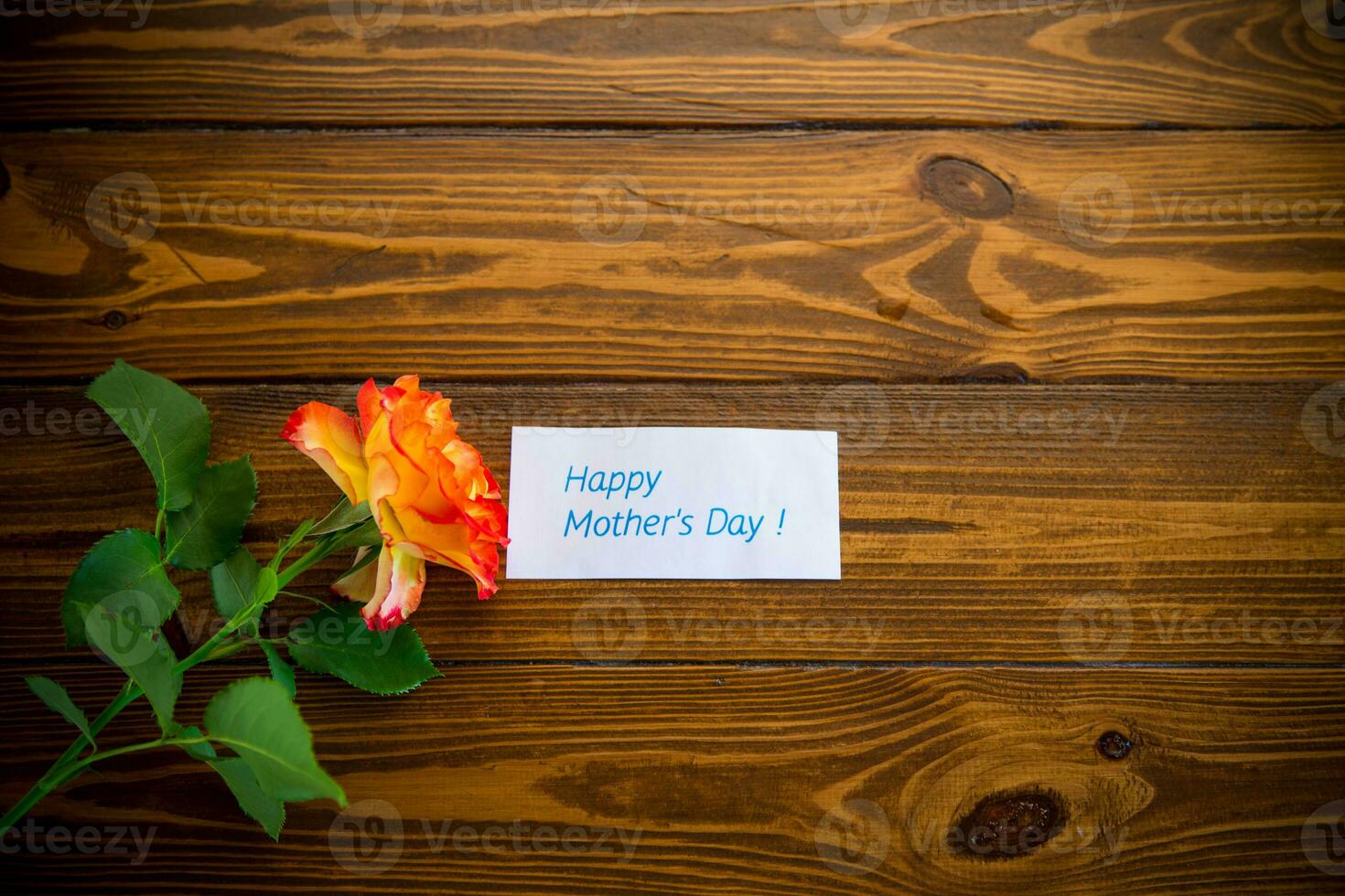 one red beautiful blooming rose on a wooden table photo