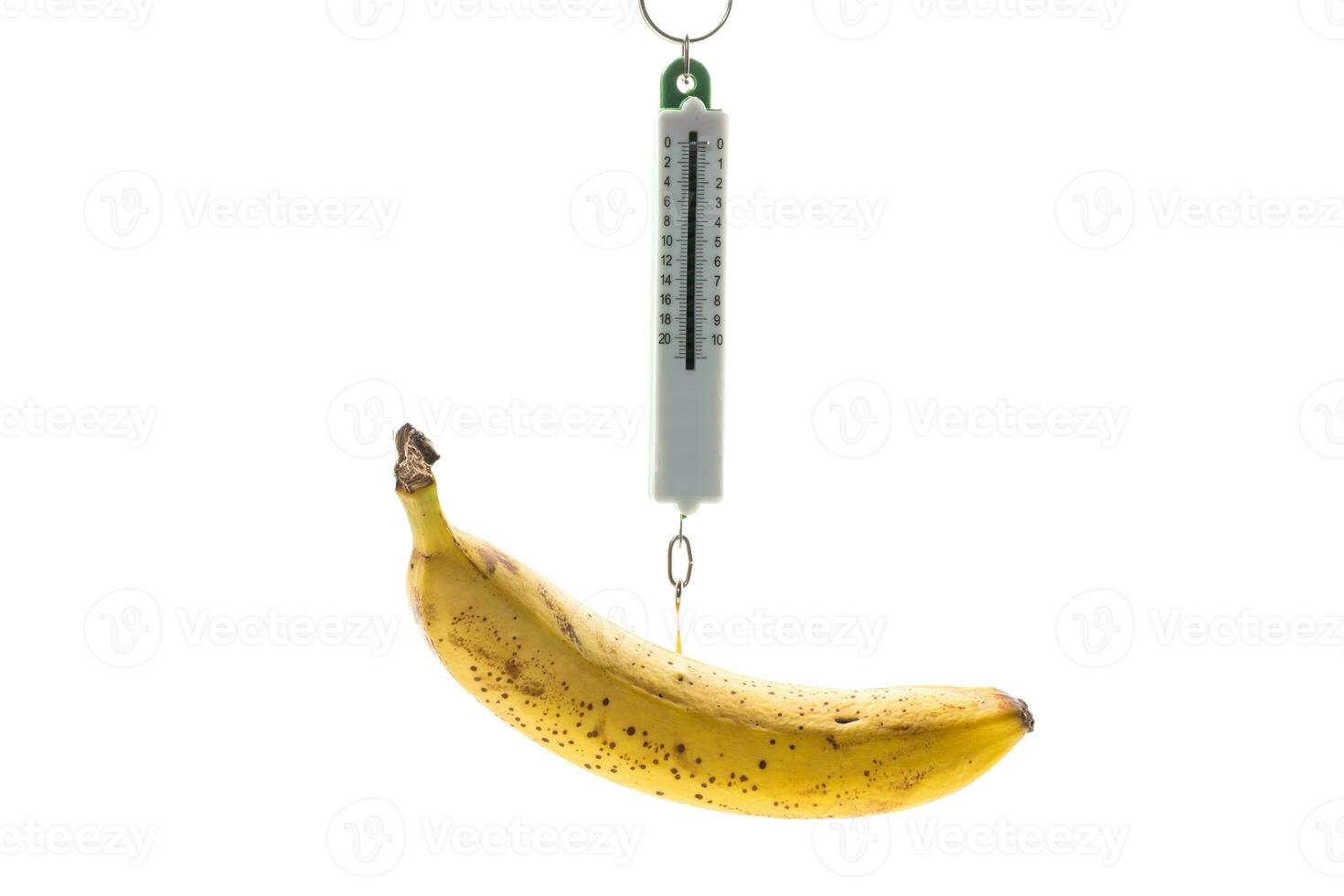ripe yellow banana hanging on old style scales photo