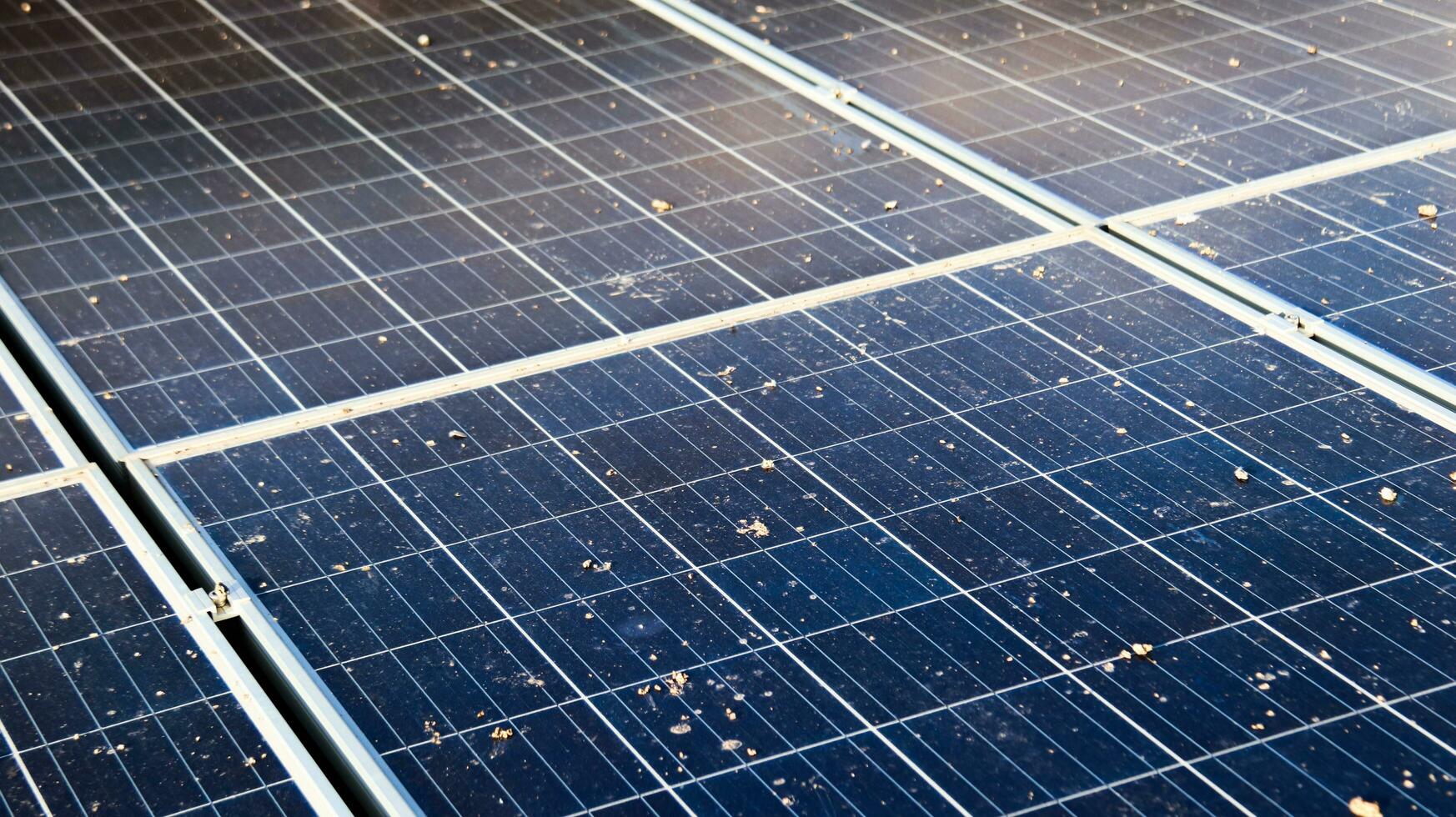 Dirty solar cell panels which were caused by bird poops photo