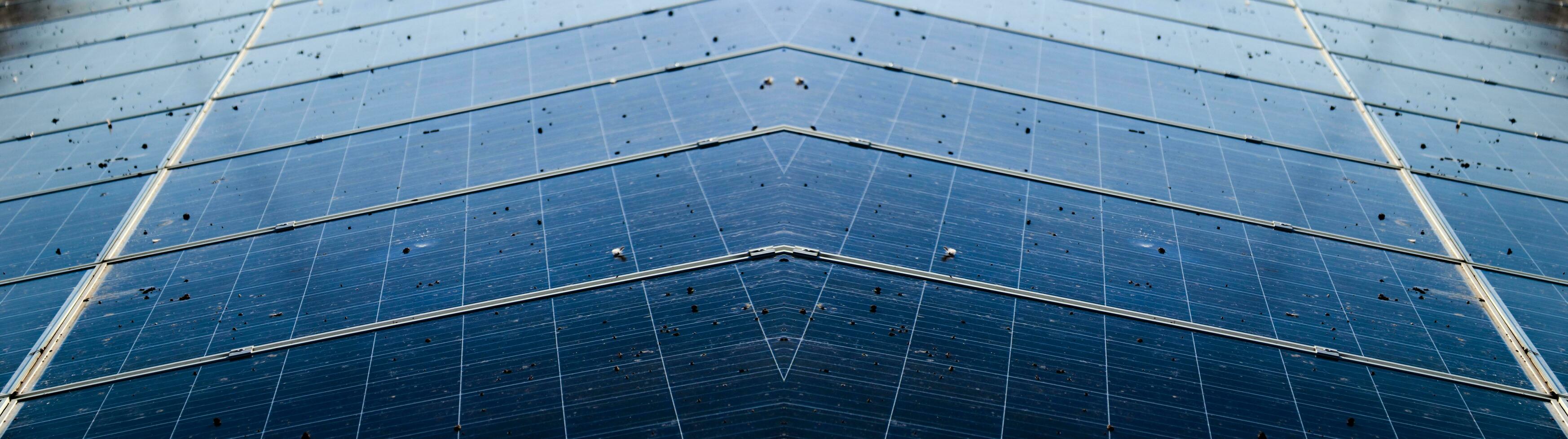 Dirty solar cell panels which were caused by bird poops photo