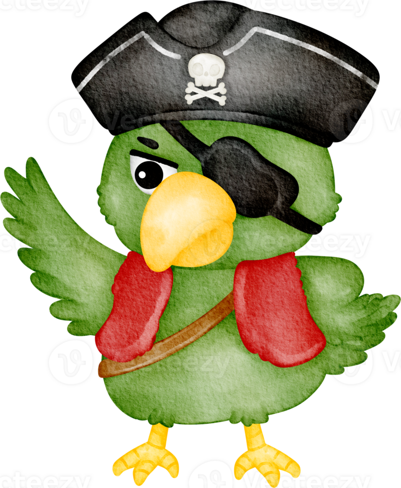 watercolor pirate parrot png