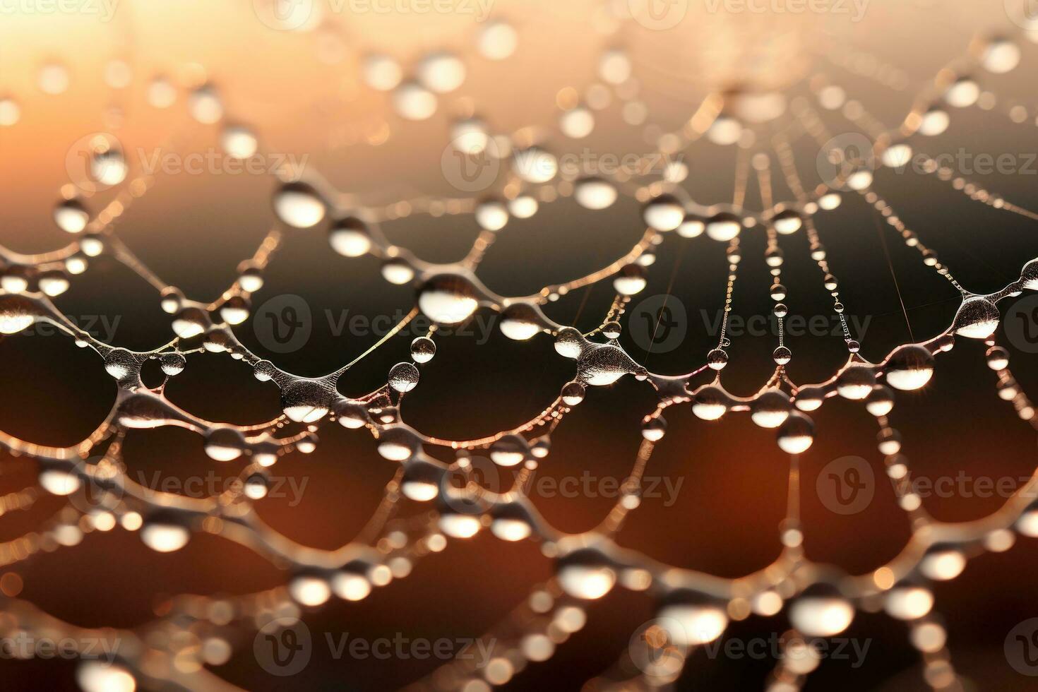 Close up Sunrise backlit dew drops clinging to a delicate spider web. Generative AI photo