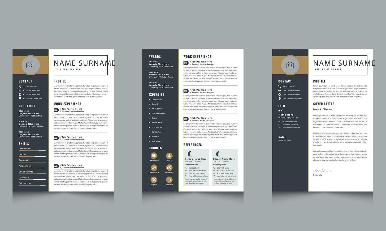 Professional Job CV Template Design vector