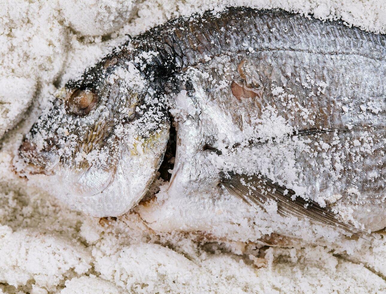 Preparing salt-baked dorada fish top view photo