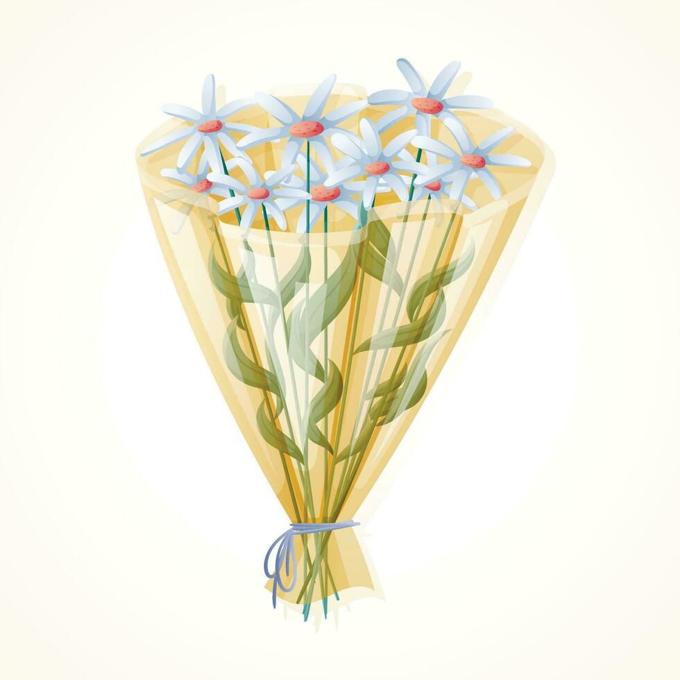 Vector bouquet of field daisies or chamomile in wrapping paper.