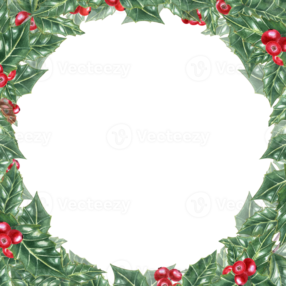 Square frame of Green ilex leaves with bunch of red berries. Holly leaves, evergreen shrub. Winter natural decoration. Watercolor illustration. Copy space for text. Foe greetings, invitation png