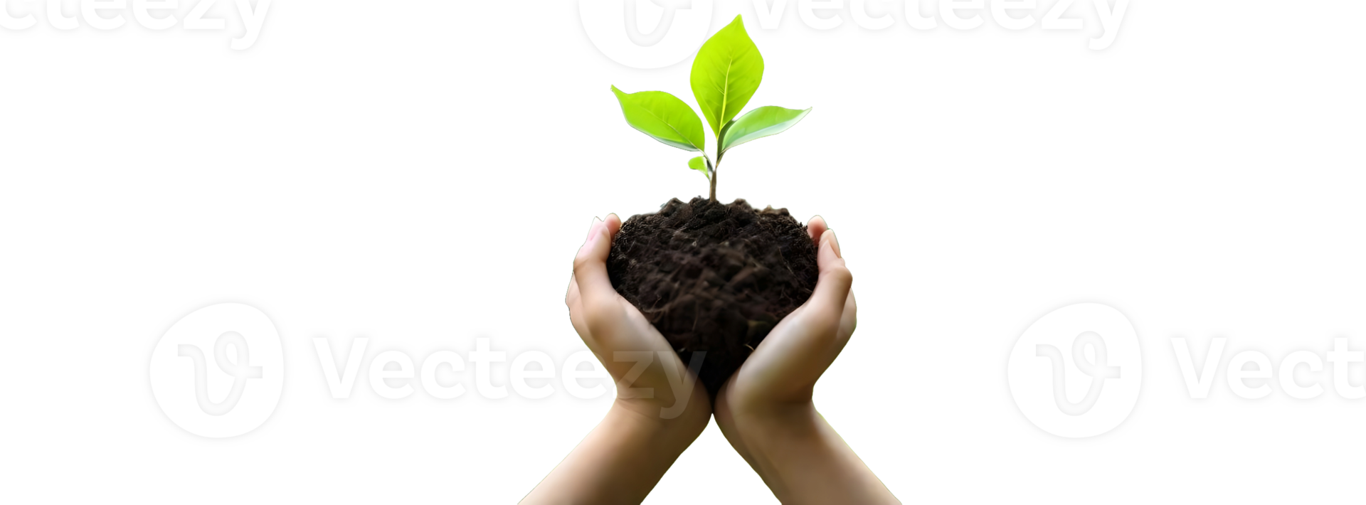 AI generated Seedling tree in a hand. World environment day png