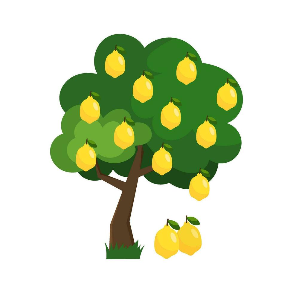 vector ilustración de un limón árbol en plano estilo en un blanco antecedentes. limón, agrios.
