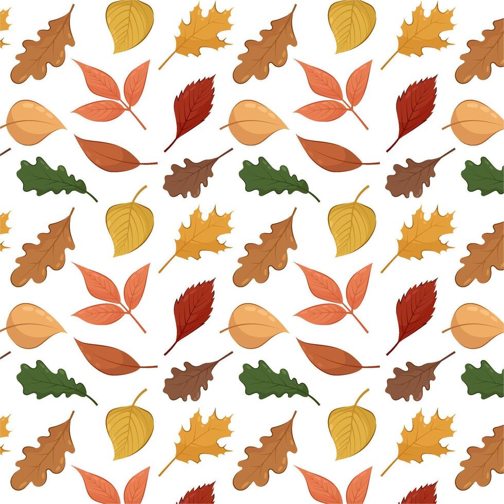 Seamless pattern of autumn leaves on a white background. Autumn pattern in flat style. vector