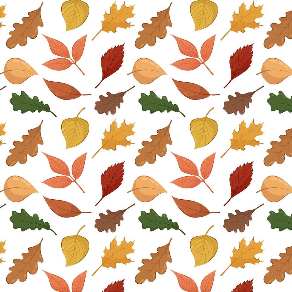 sin costura modelo de otoño hojas en un blanco antecedentes. otoño modelo en plano estilo. vector