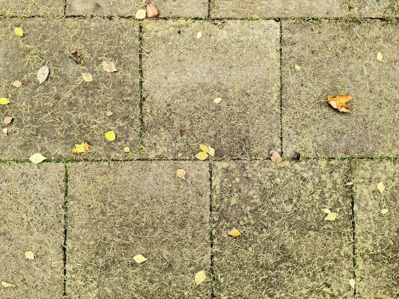 View at color floor tiles on the ground. photo