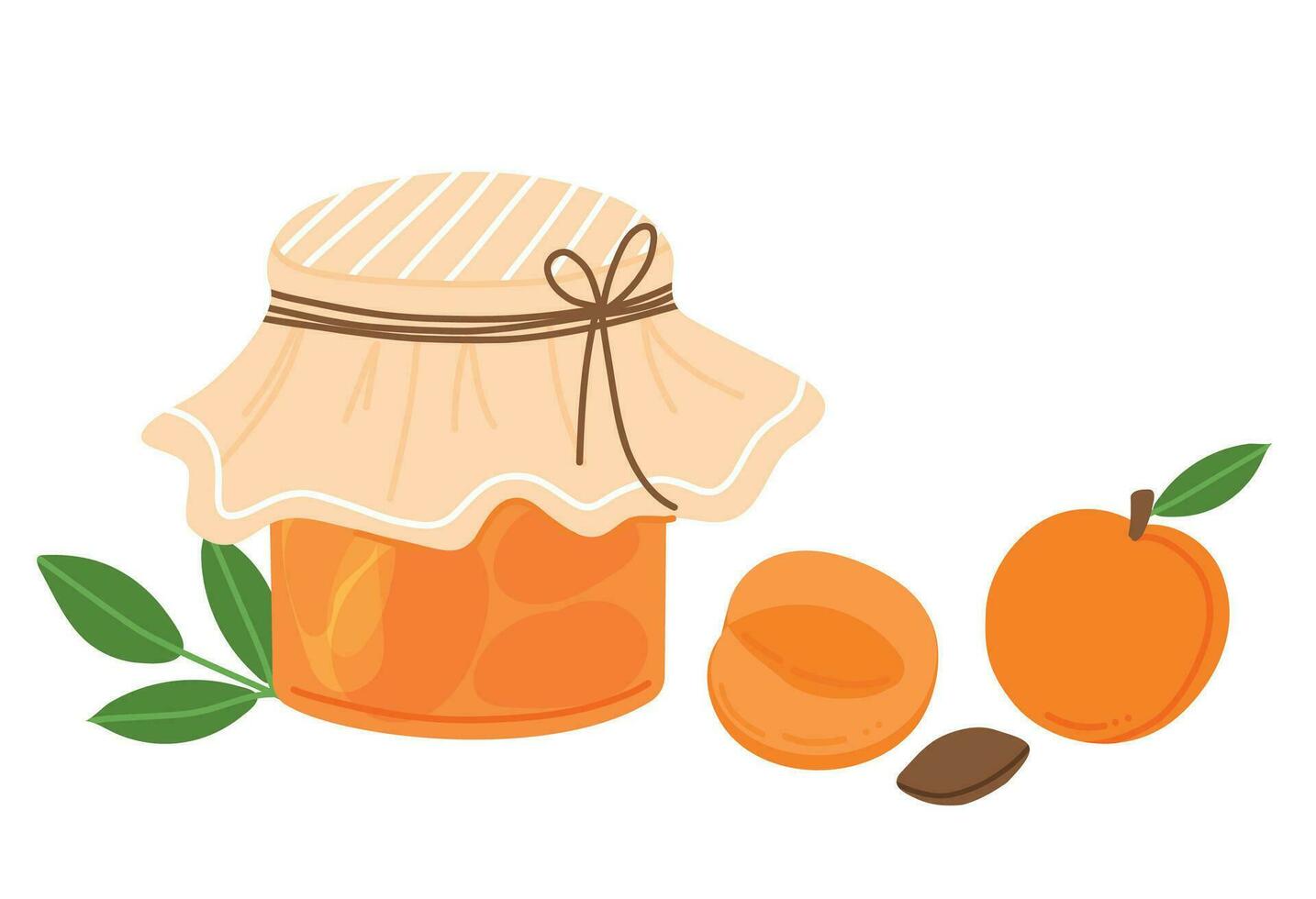 Apricot jam in glass jar isolated on white background. Homemade sweet food. Apricot and jar with jam. Vector flat illustration.