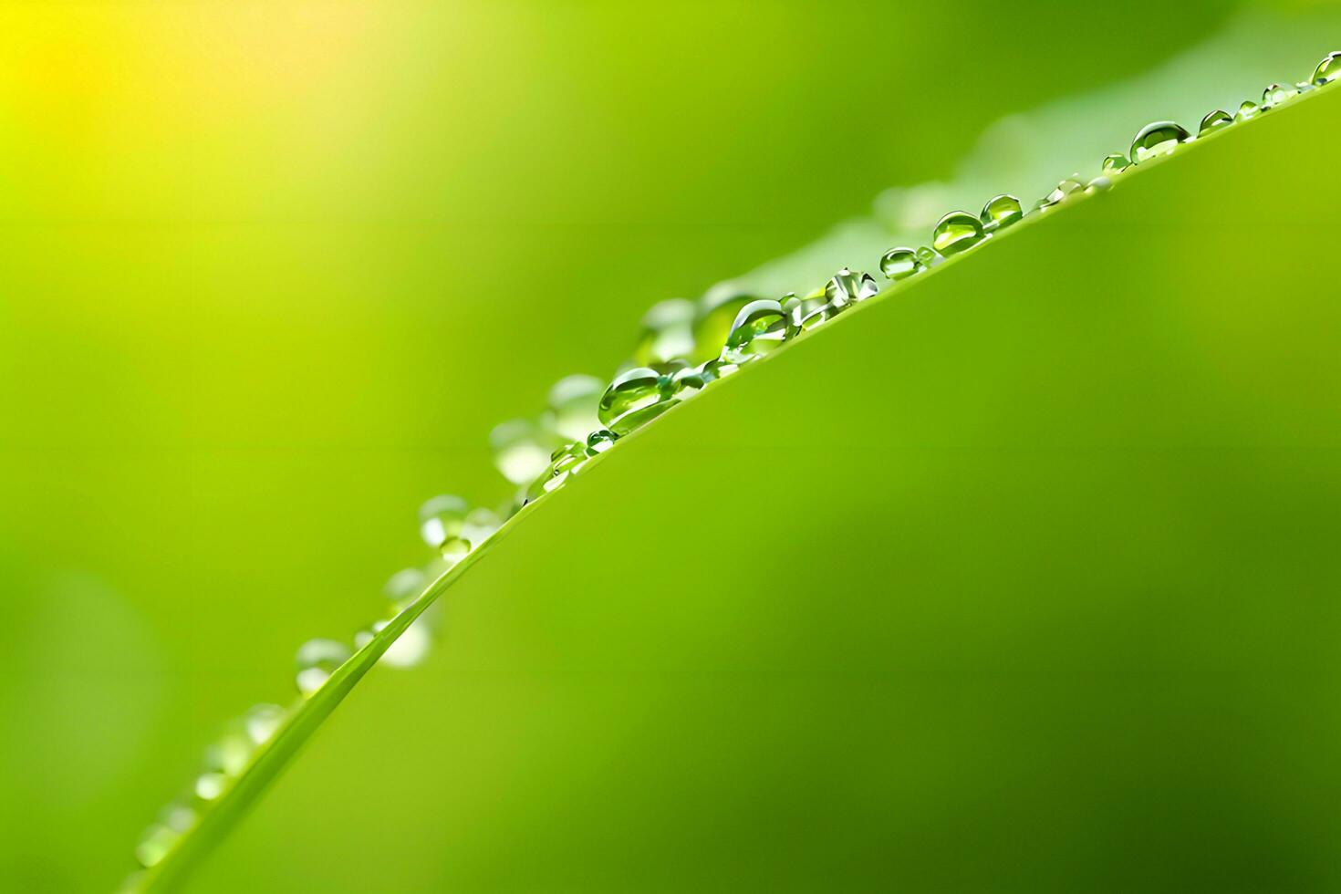 plant close up with greenery and dew drops background images wallpaper with Ai generated photo