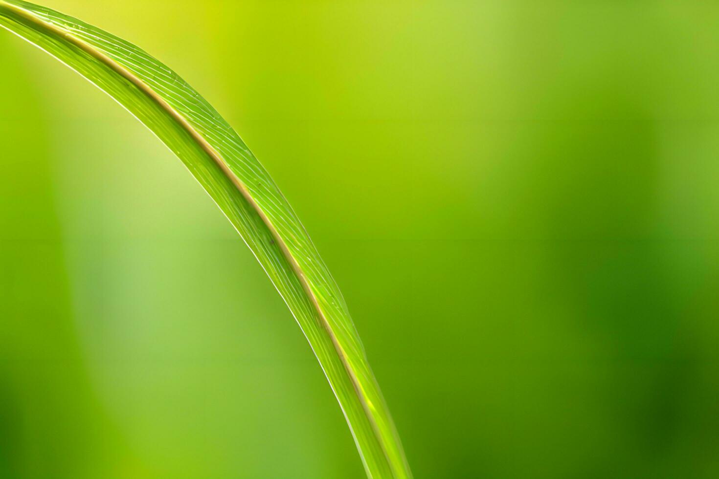 planta cerca arriba con verdor y Rocío gotas antecedentes imágenes fondo de pantalla con ai generado foto