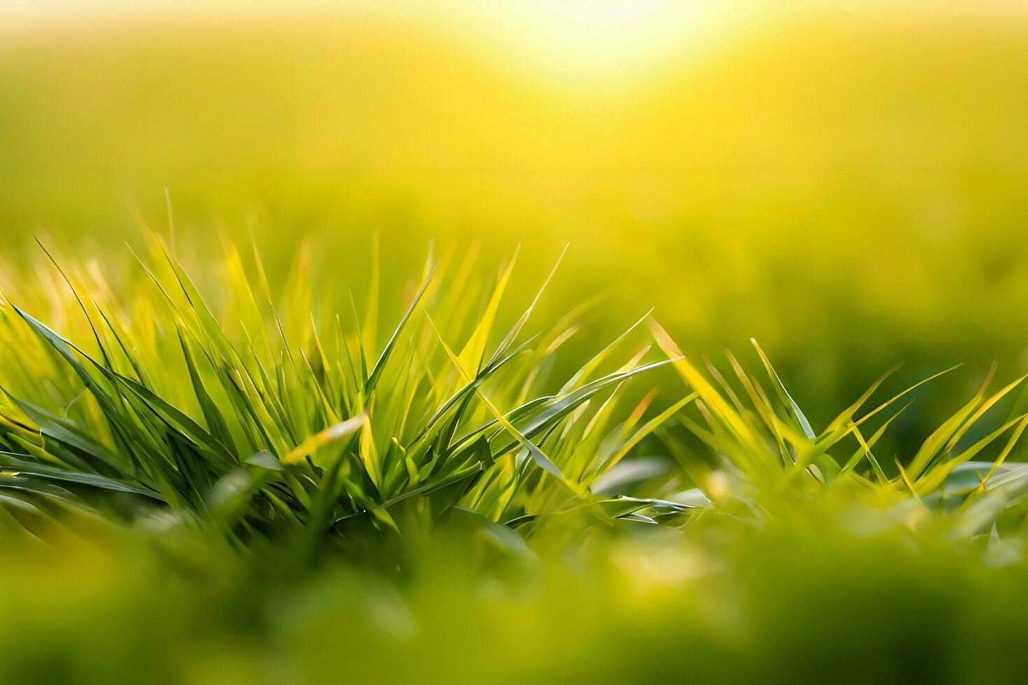 planta cerca arriba con verdor y Rocío gotas antecedentes imágenes fondo de pantalla con ai generado foto