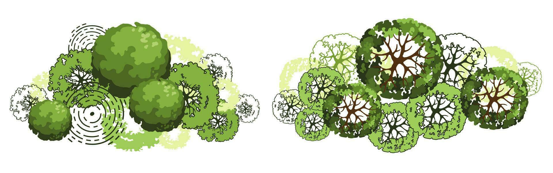 árbol para planos arquitectónicos. diseño de séquito. varios árboles, arbustos y arbustos, vista superior para el plan de diseño del paisaje. ilustración vectorial vector