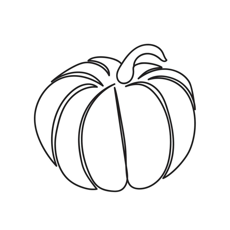 Continuous line drawing pumpkin. Autumn pumpkin line art. Minimalist art vector