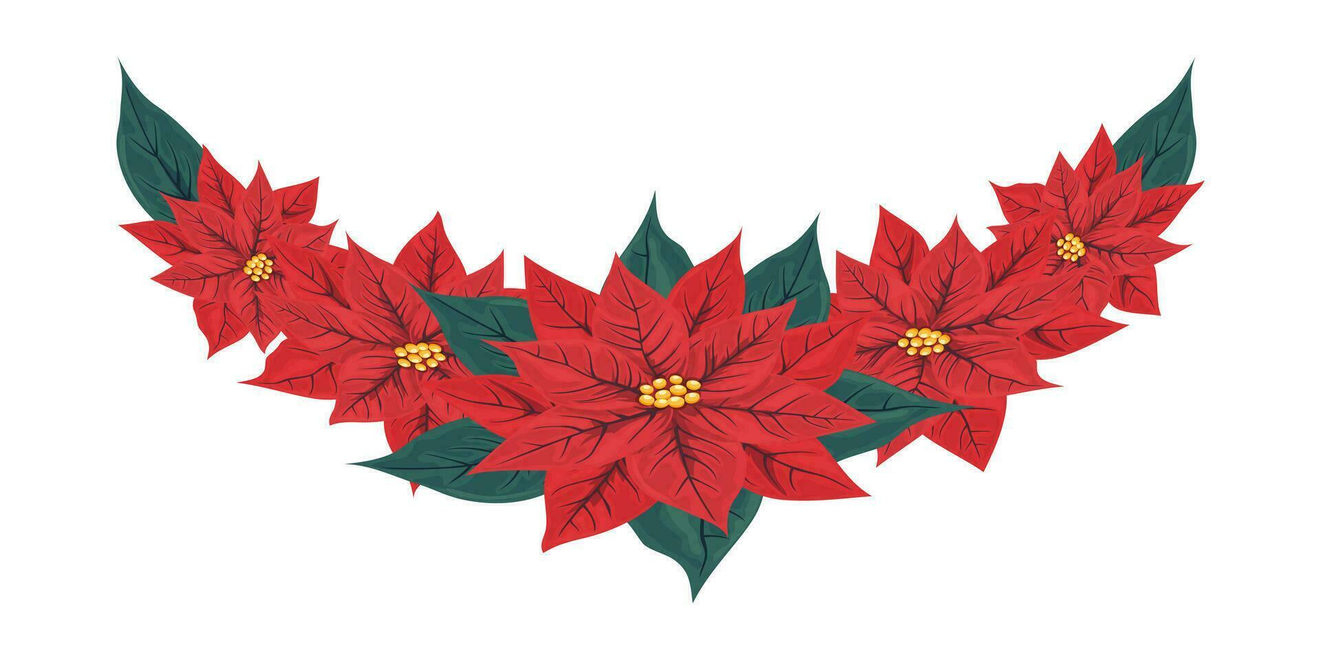 Isolated red poinsettia flower frame, border, divider. Mexican poinsettia plant with red scarlet bracts surrounding the small yellow flowers. A popular houseplant for Christmas or New Year. vector